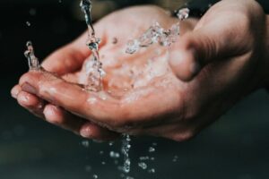 nathan-dumlao-x7Lyx8Yyvug-unsplash nathan-dumlao-x7Lyx8Yyvug-unsplash